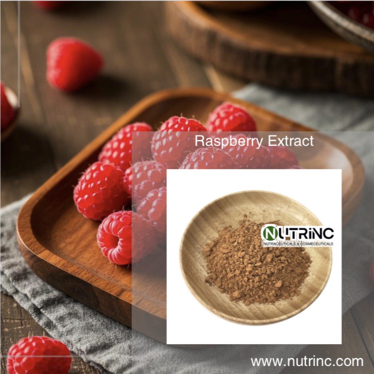 Raspberry Extract 