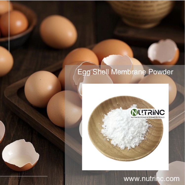 Egg Shell Membrane Powder