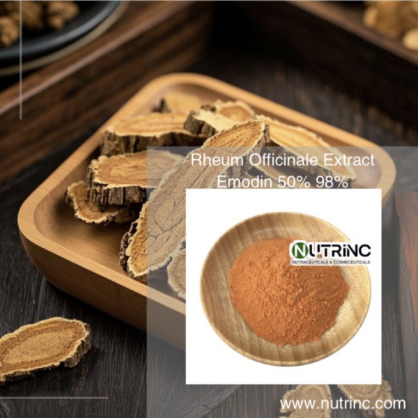 Rheum Officinale Extract Emodin 50% 98%