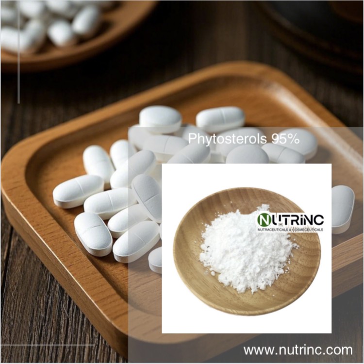 Phytosterols 95% 