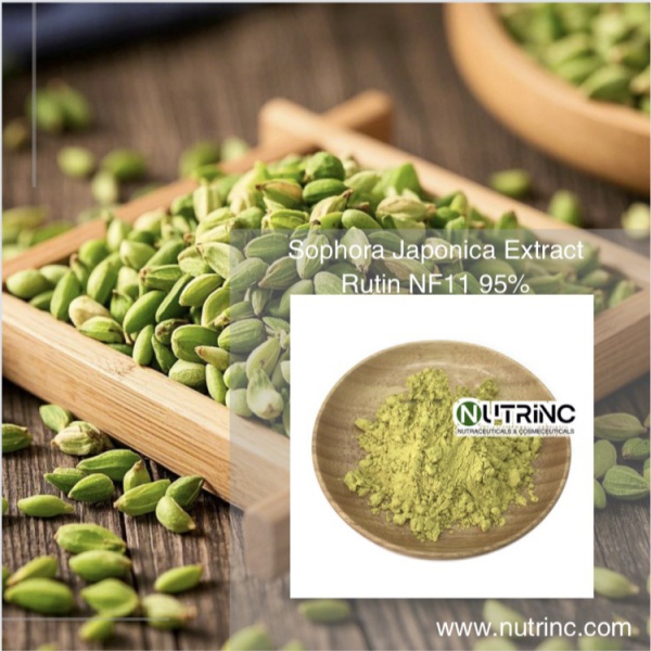 Sophora Japonica Extract Rutin NF11 95%