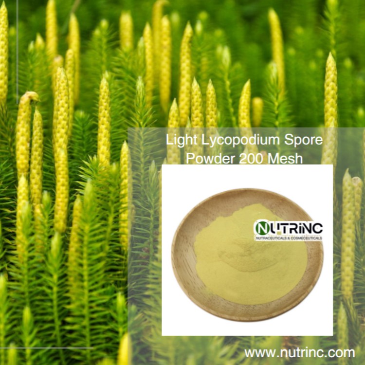 Light Lycopodium Spore Powder 200 Mesh
