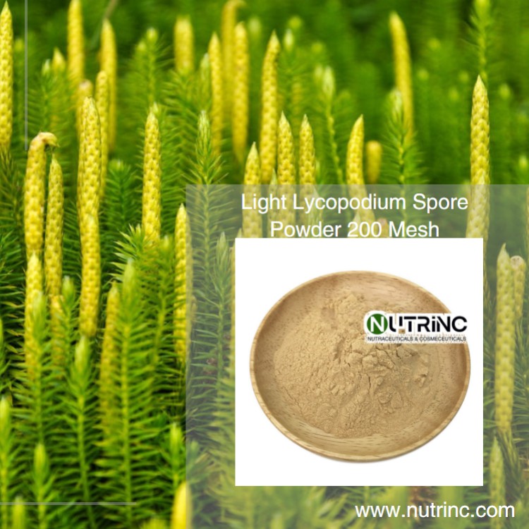 Light Lycopodium Spore Powder 200 Mesh