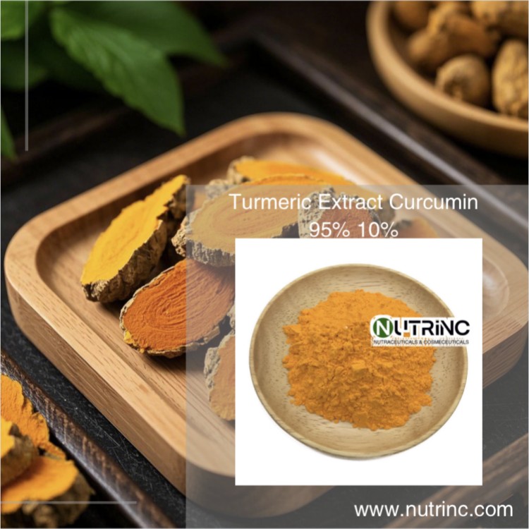 Turmeric Extract Curcumin 95% 10%