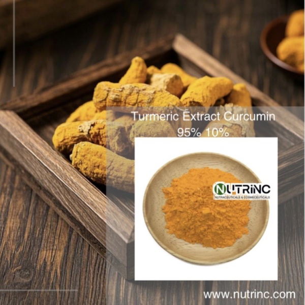 Turmeric Extract Curcumin 95% 10%