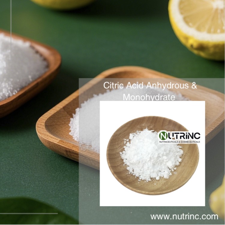 Citric Acid Monohydrate 99% Citri Acid Anhydrous 99%