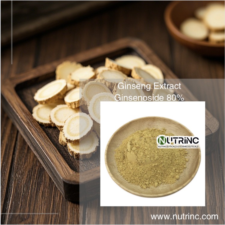 Ginseng Extract Ginsenoside 80%  