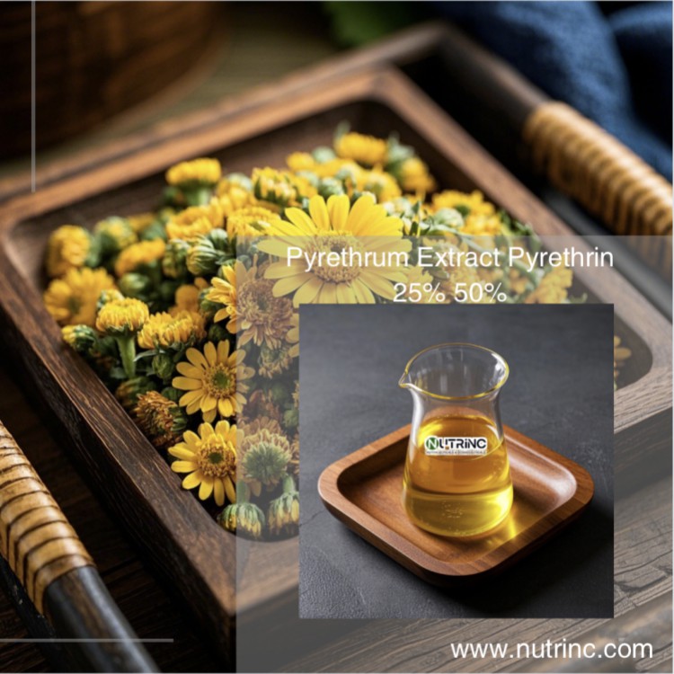 Pyrethrum Extract Pyrethrin 25% 50%