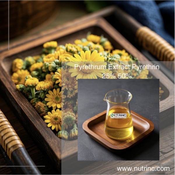 Pyrethrum Extract Pyrethrin 25% 50%