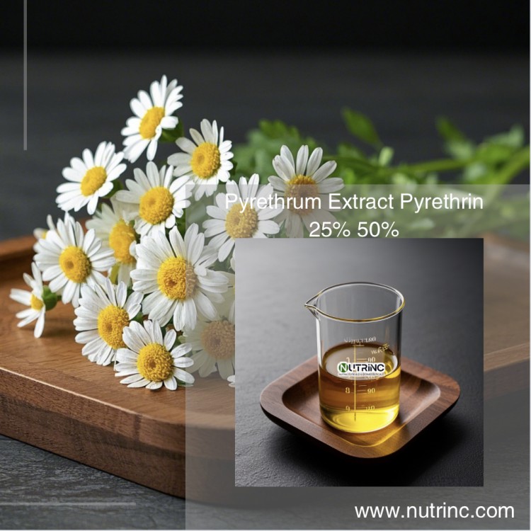 Pyrethrum Extract Pyrethrin 25% 50%