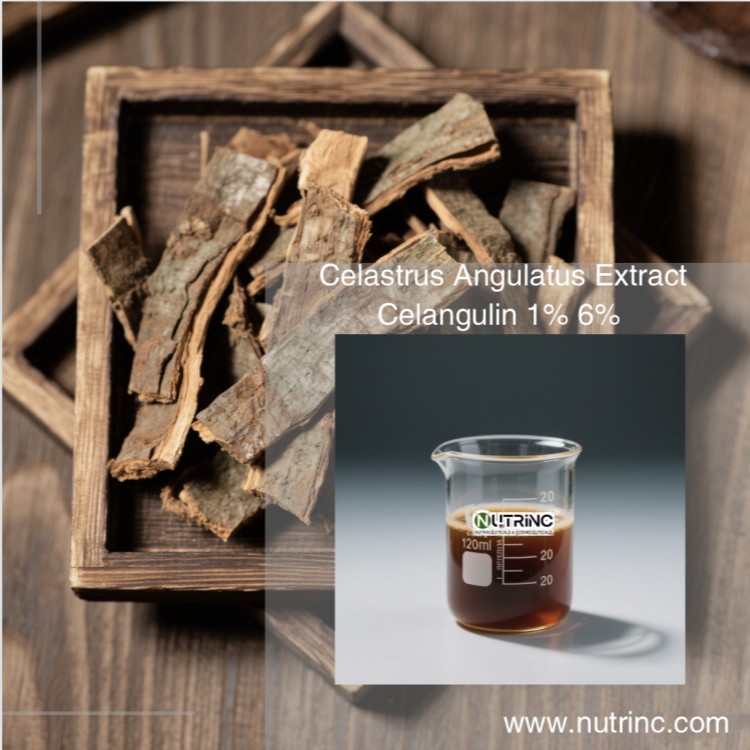 Celastrus Angulatus Extract Celangulin 1% 6% 