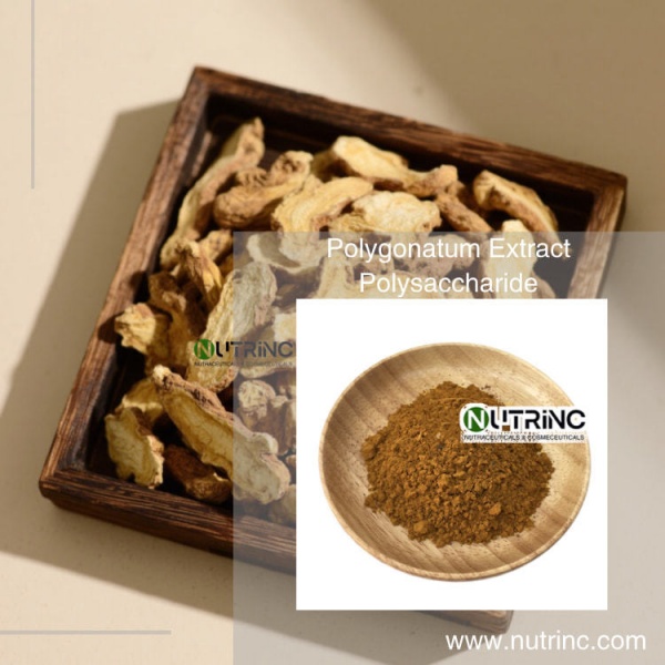 Polygonatum Extract Polysaccharide 30%