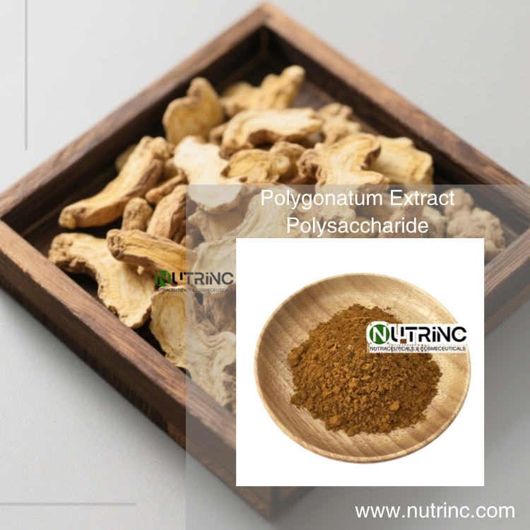 Polygonatum Extract Polysaccharide 30%