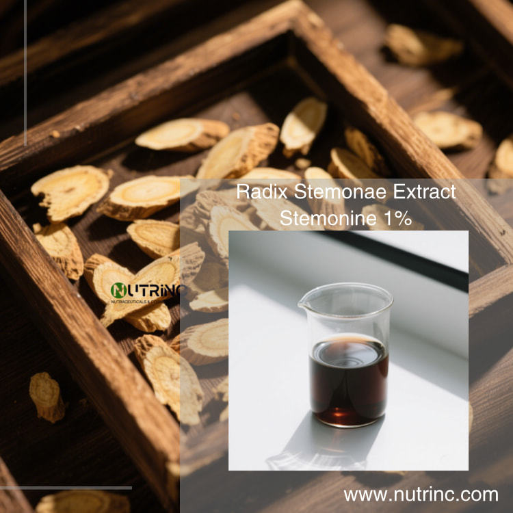 Radix Stemonae Extract Stemonine 1%