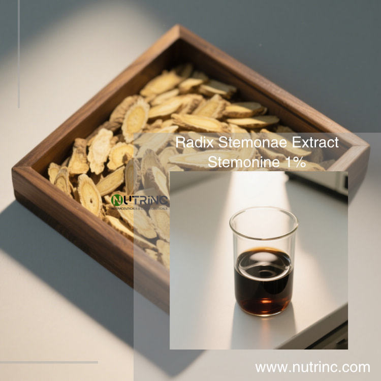 Radix Stemonae Extract Stemonine 1%