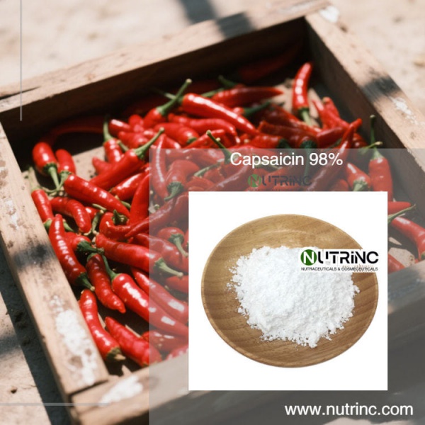 Chili Pepper Extract Capsicum Oleoresin 10% Capsaicin 98%