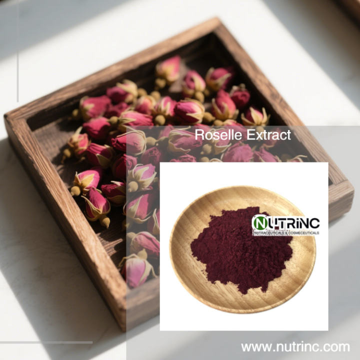 Roselle Extract 10:1