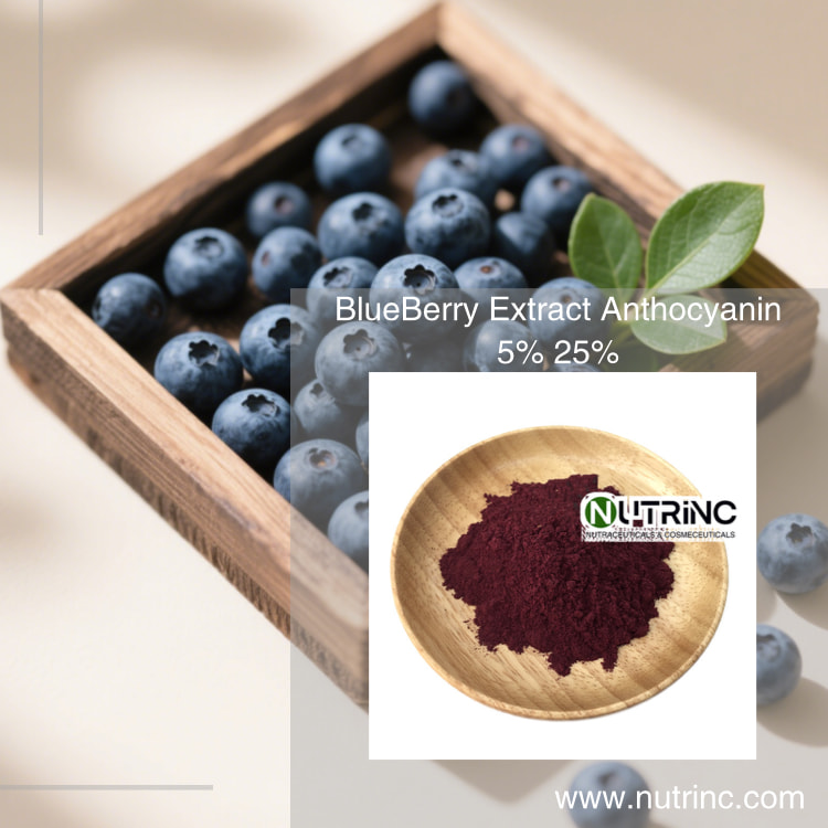 Blue Berry Extract Anthocyanin 5% 25%