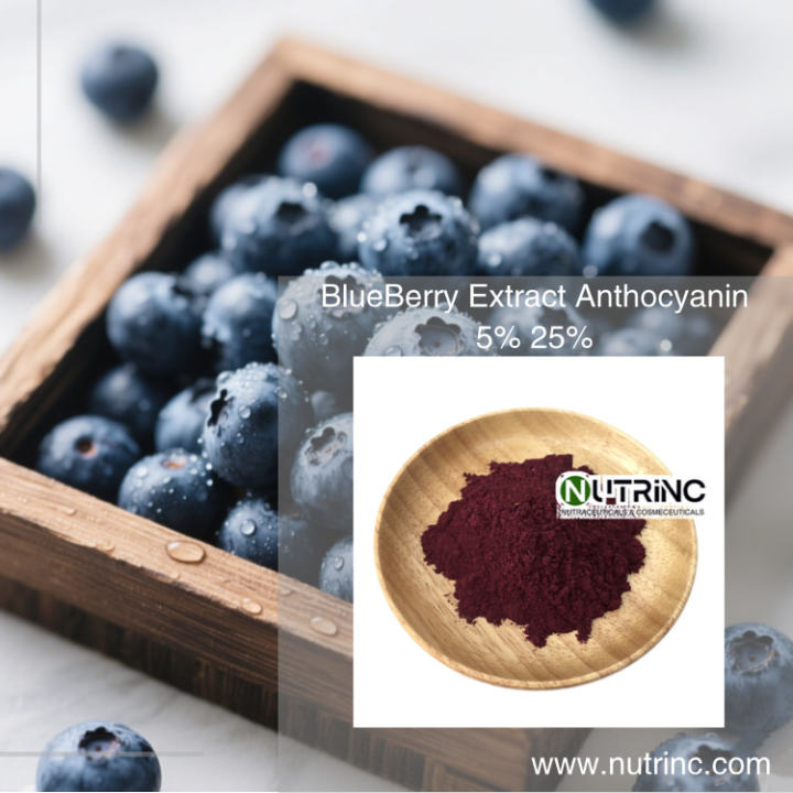 Blue Berry Extract Anthocyanin 5% 25%