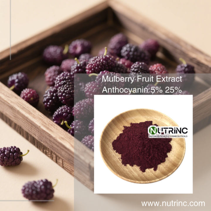 Mulberry Fruit Extract Anthocyanin 5% 25%