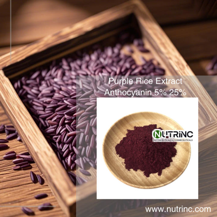 Purple Rice Extract Anthocyanin 5% 25%
