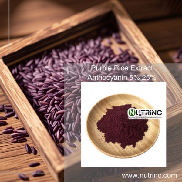 Purple Rice Extract Anthocyanin 5% 25%