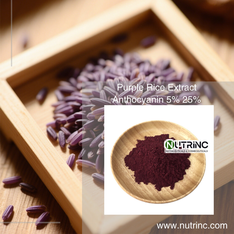 Purple Rice Extract Anthocyanin 5% 25%