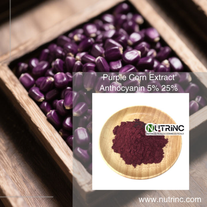 Purple Corn Extract Anthocyanin 5% 25%