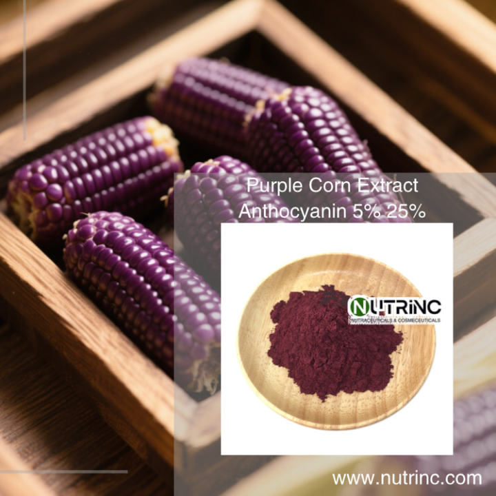 Purple Corn Extract Anthocyanin 5% 25%