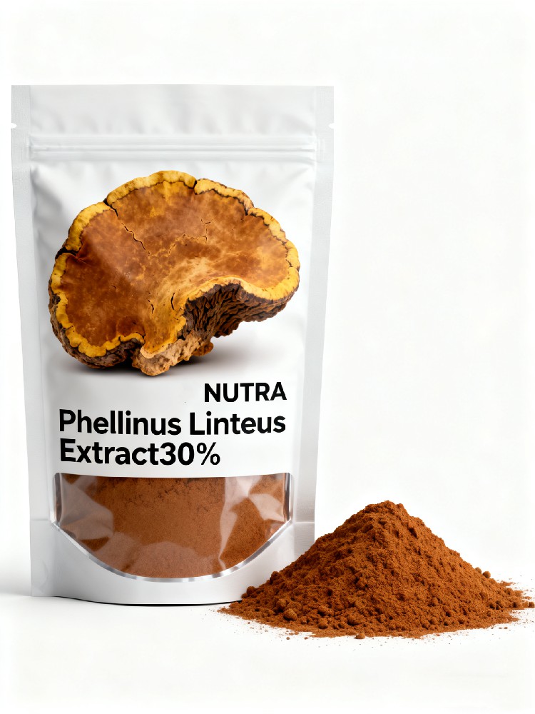 Phellinus Linteus Extract Polysaccharide 30%