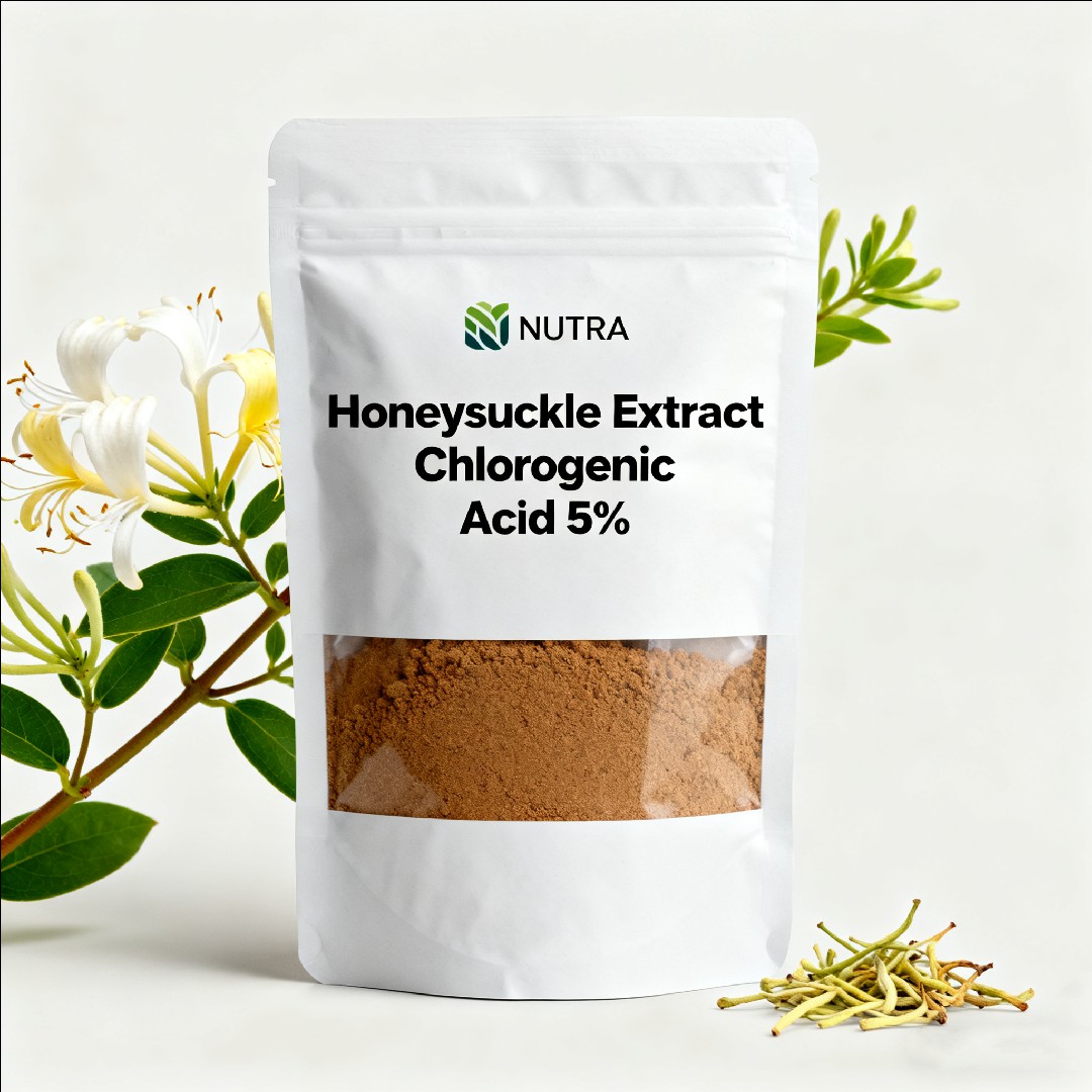 Honeysuckle Extract  Chlorogenic Acid  5% 10%