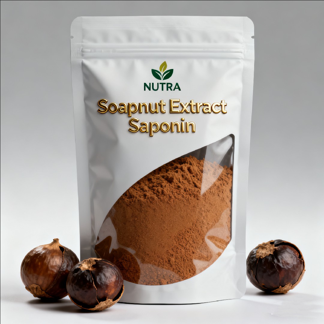 Soapnut Extract Soapnut Saponin 40% 80%