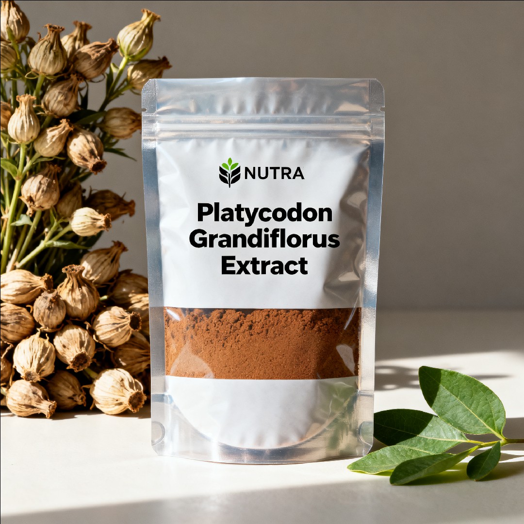 Platycodon Grandiflorus Extract Platycodin 10%