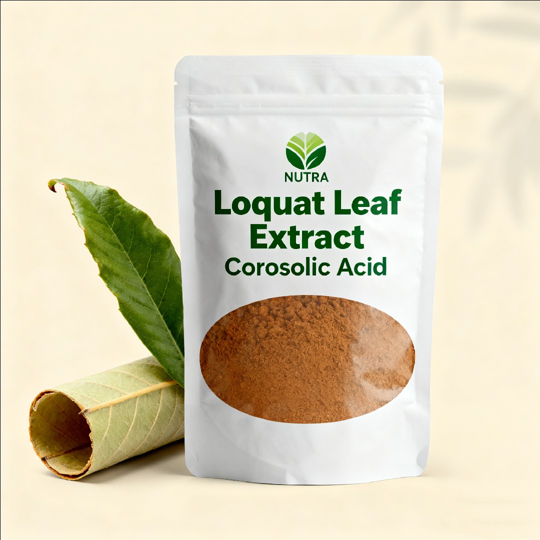 Loquat Leaf Extract Corosolic Acid 1%-98%