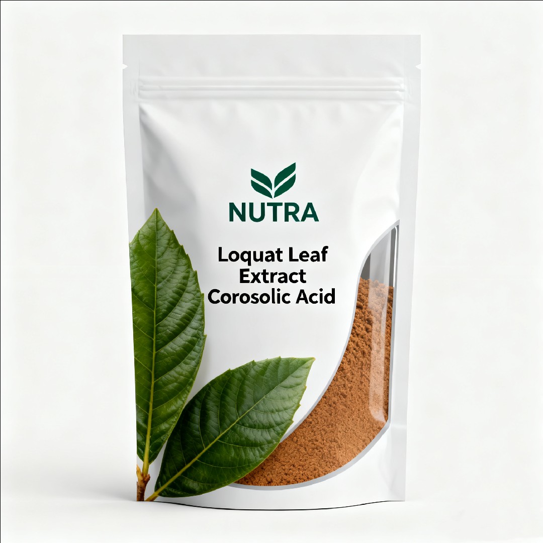 Loquat Leaf Extract Corosolic Acid 1%-98%