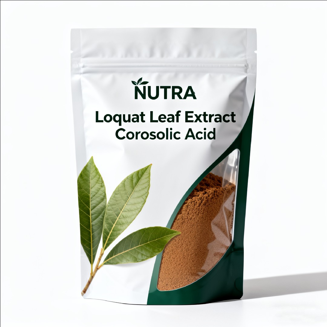 Loquat Leaf Extract Corosolic Acid 1%-98%