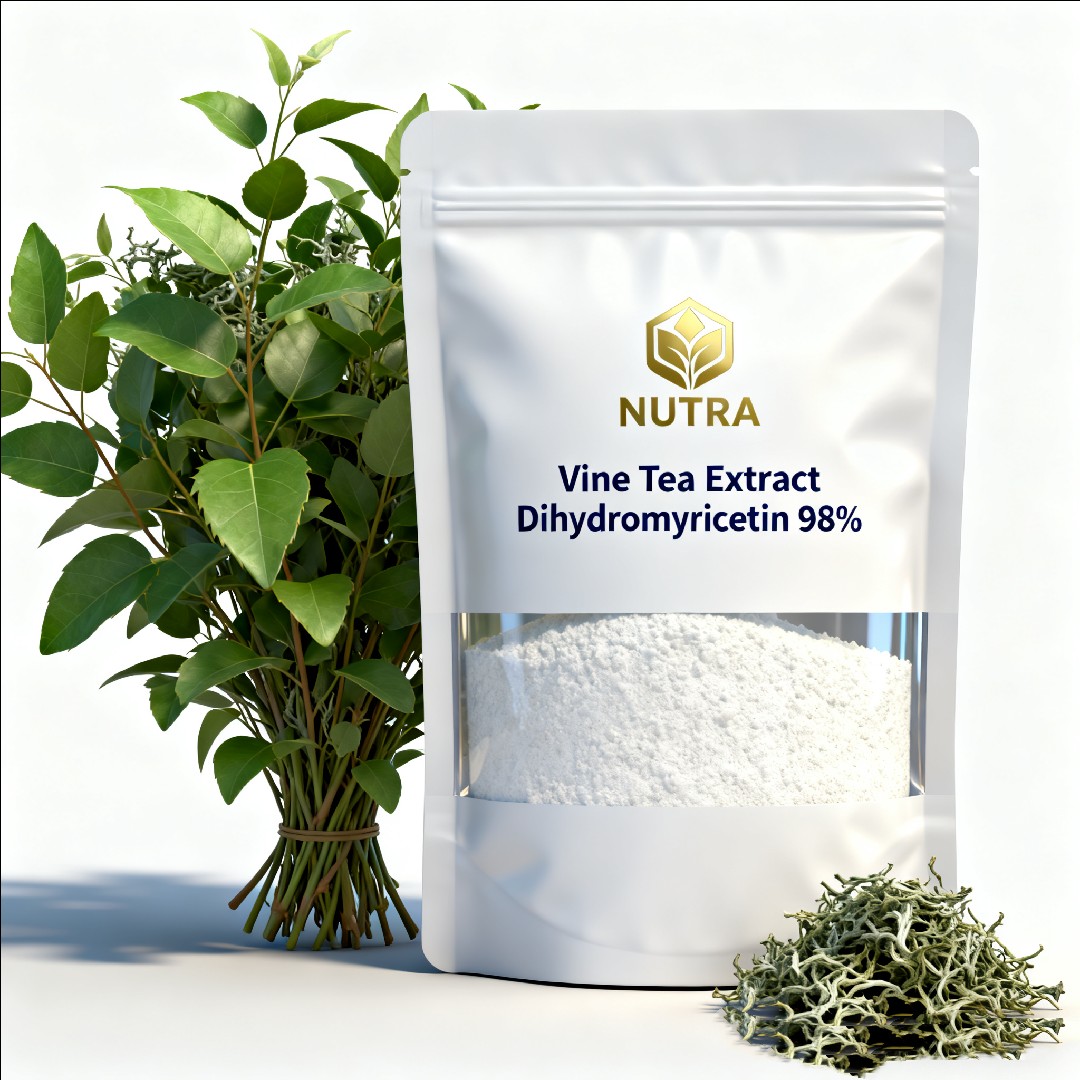 Vine Tea Extract  Myricetin 98%