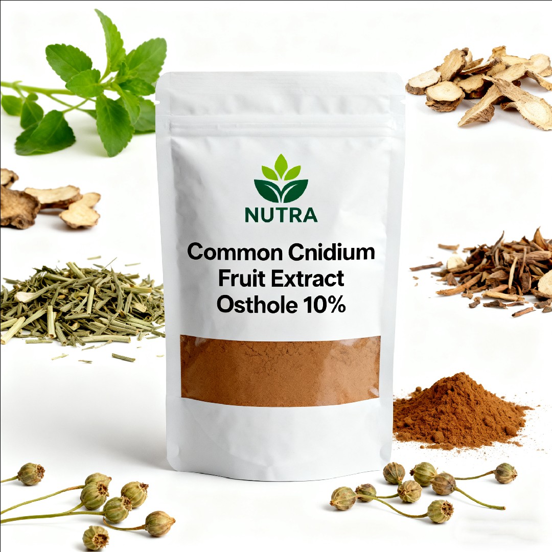 Common Cnidium Fruit Extract Osthole 10%