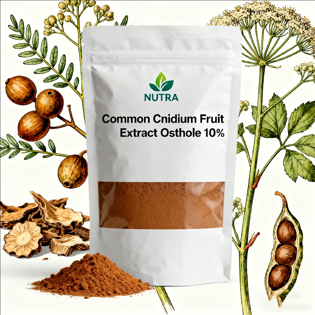 Common Cnidium Fruit Extract Osthole 10%