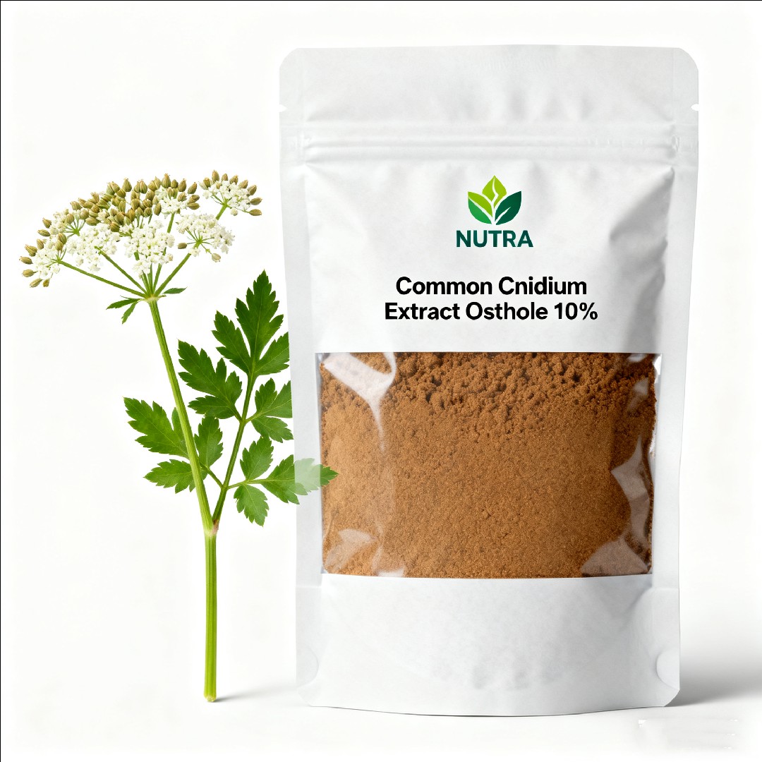 Common Cnidium Fruit Extract Osthole 10%
