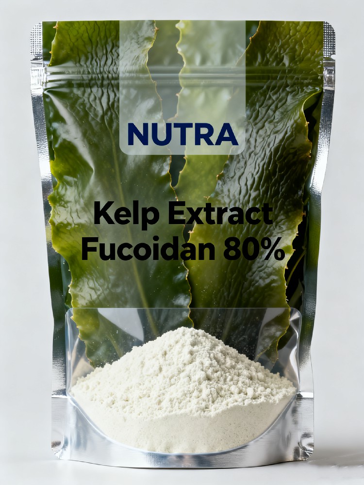 Kelp Extract Fucoidan 80%