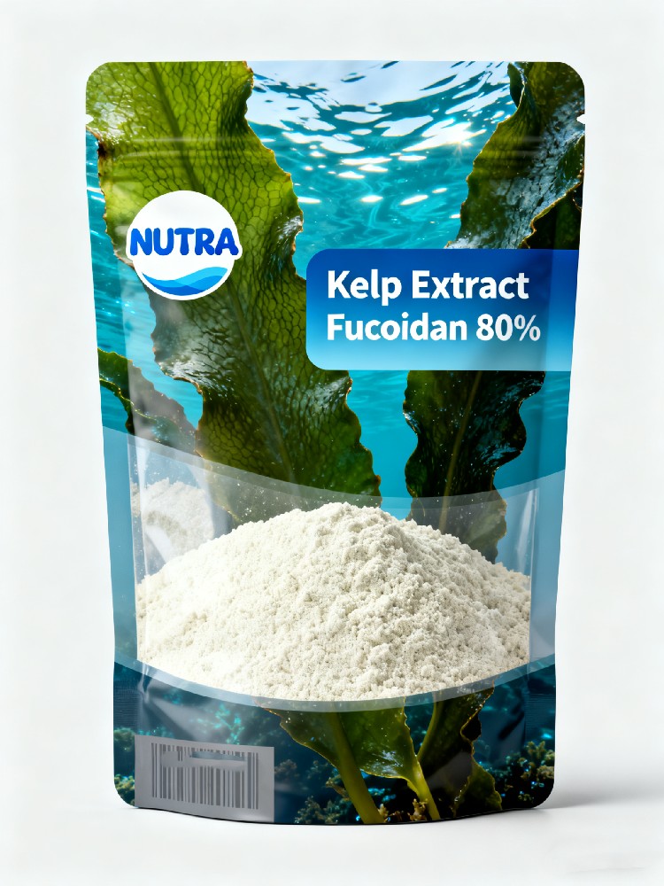 Kelp Extract Fucoidan 80%