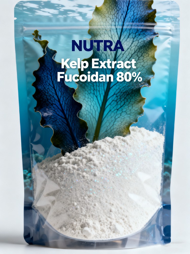 Kelp Extract Fucoidan 80%