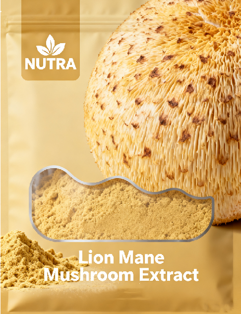 Lion Mane Mushroom Extract Powder