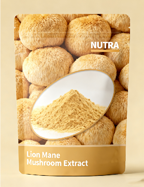 Lion Mane Mushroom Extract Powder