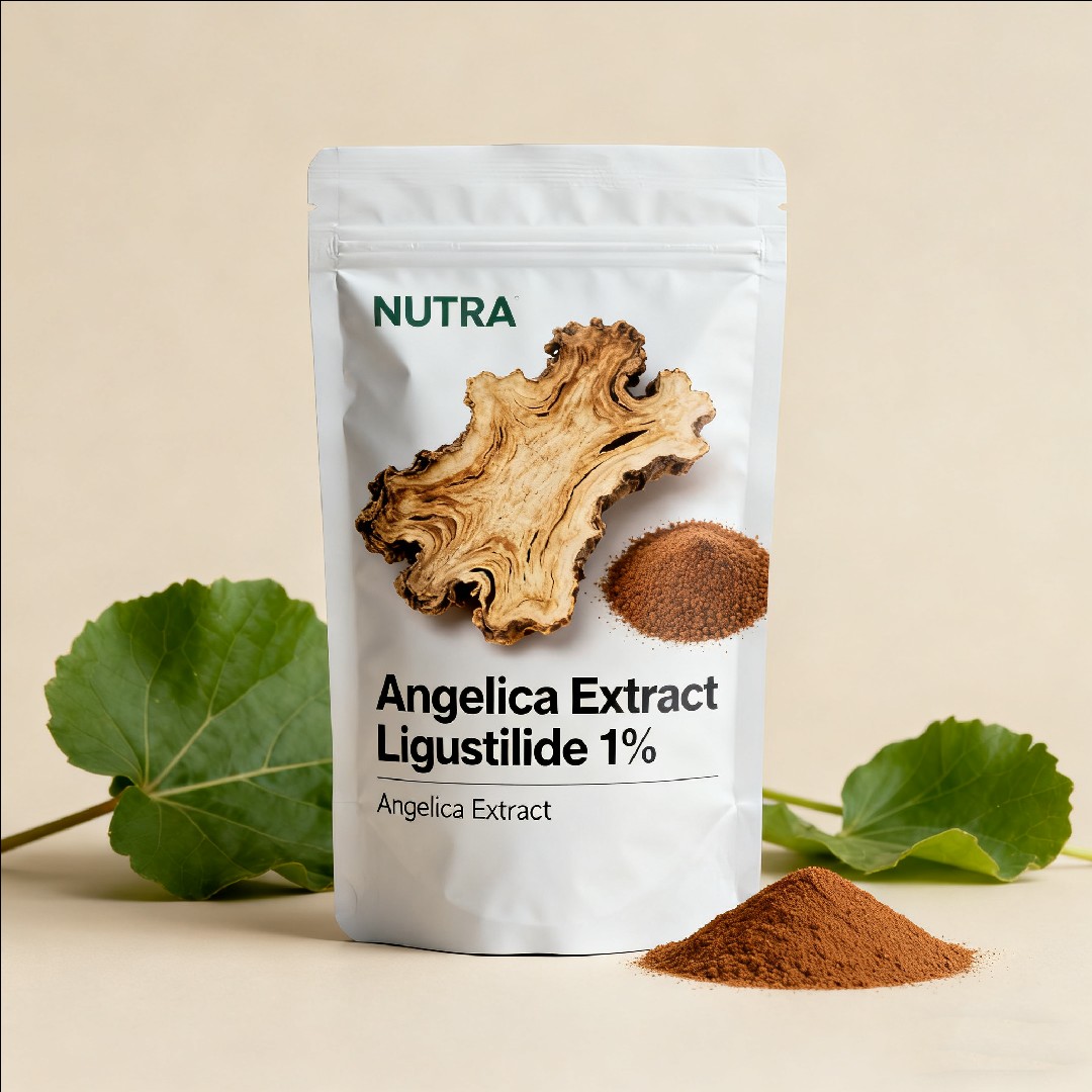 Angelica Extract Ligustilide 1％