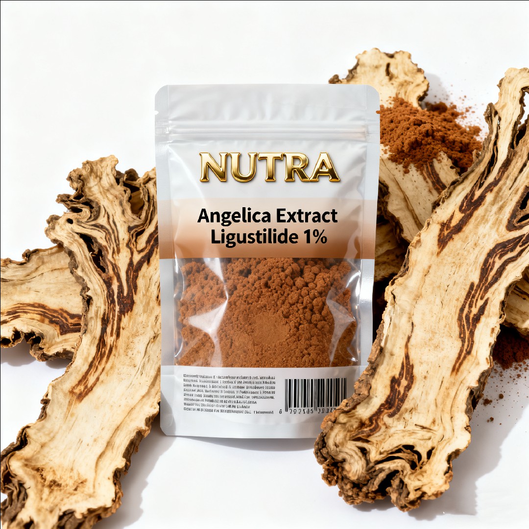 Angelica Extract Ligustilide 1％