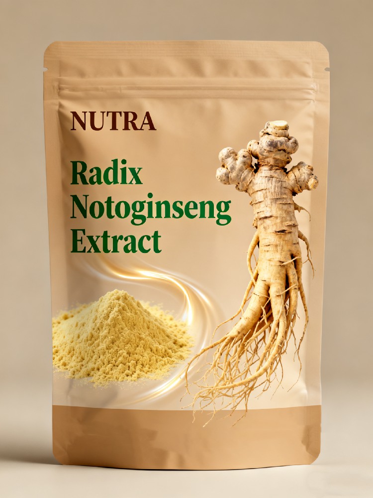 Radix Notoginseng Extract Notoginsenoside 80%