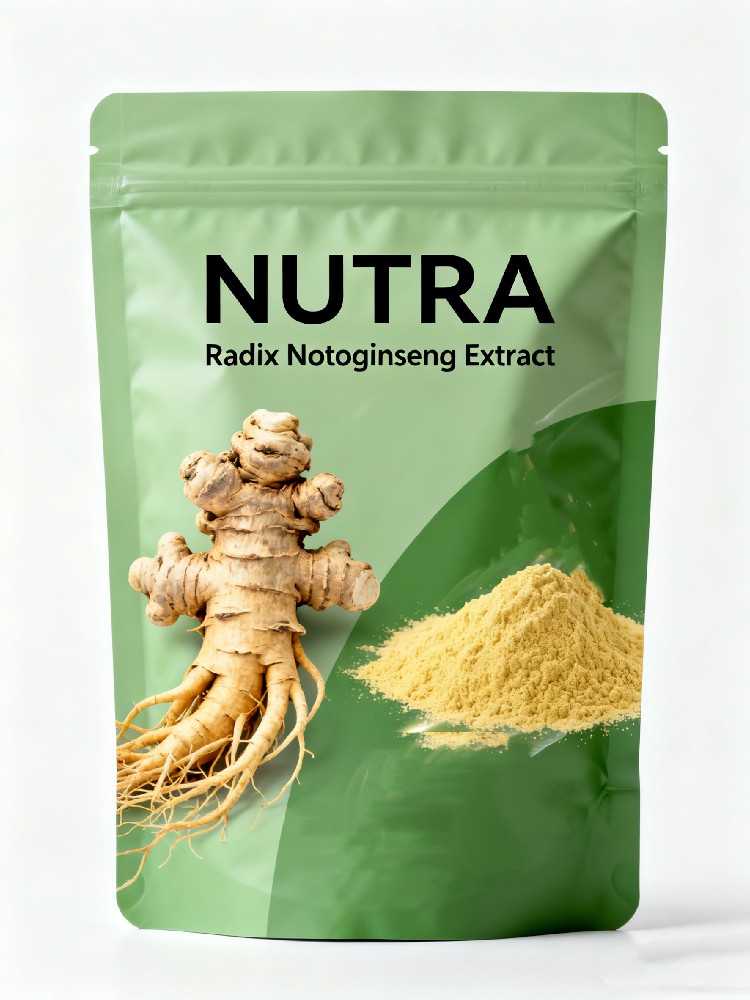 Radix Notoginseng Extract Notoginsenoside 80%
