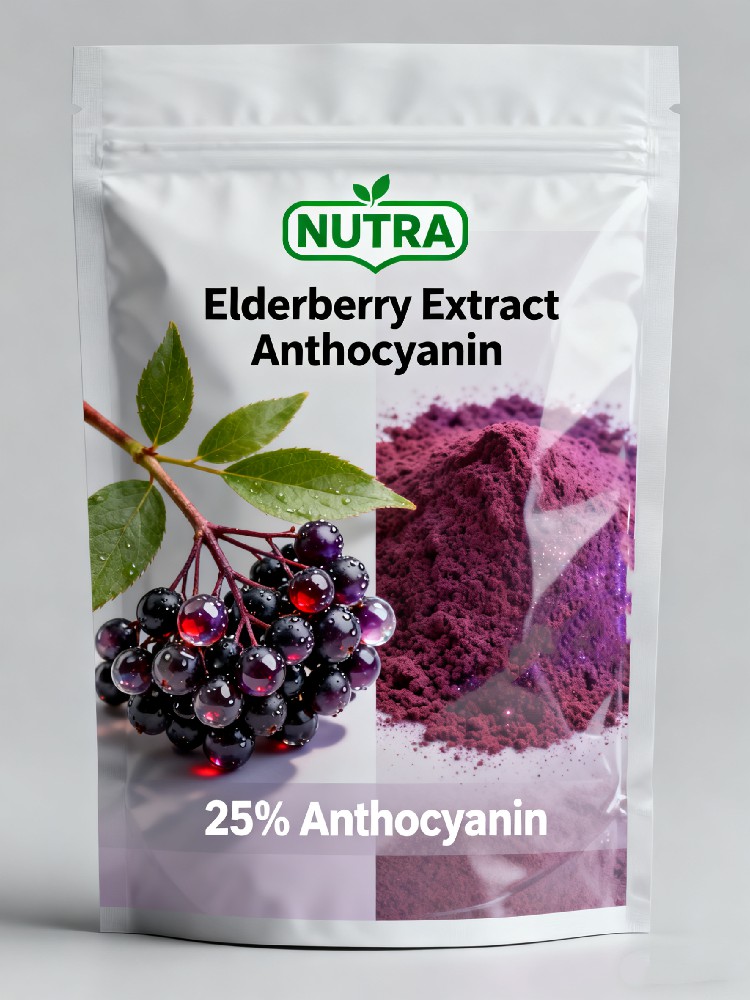 Elderberry Extract Anthocyanin 5% 25%